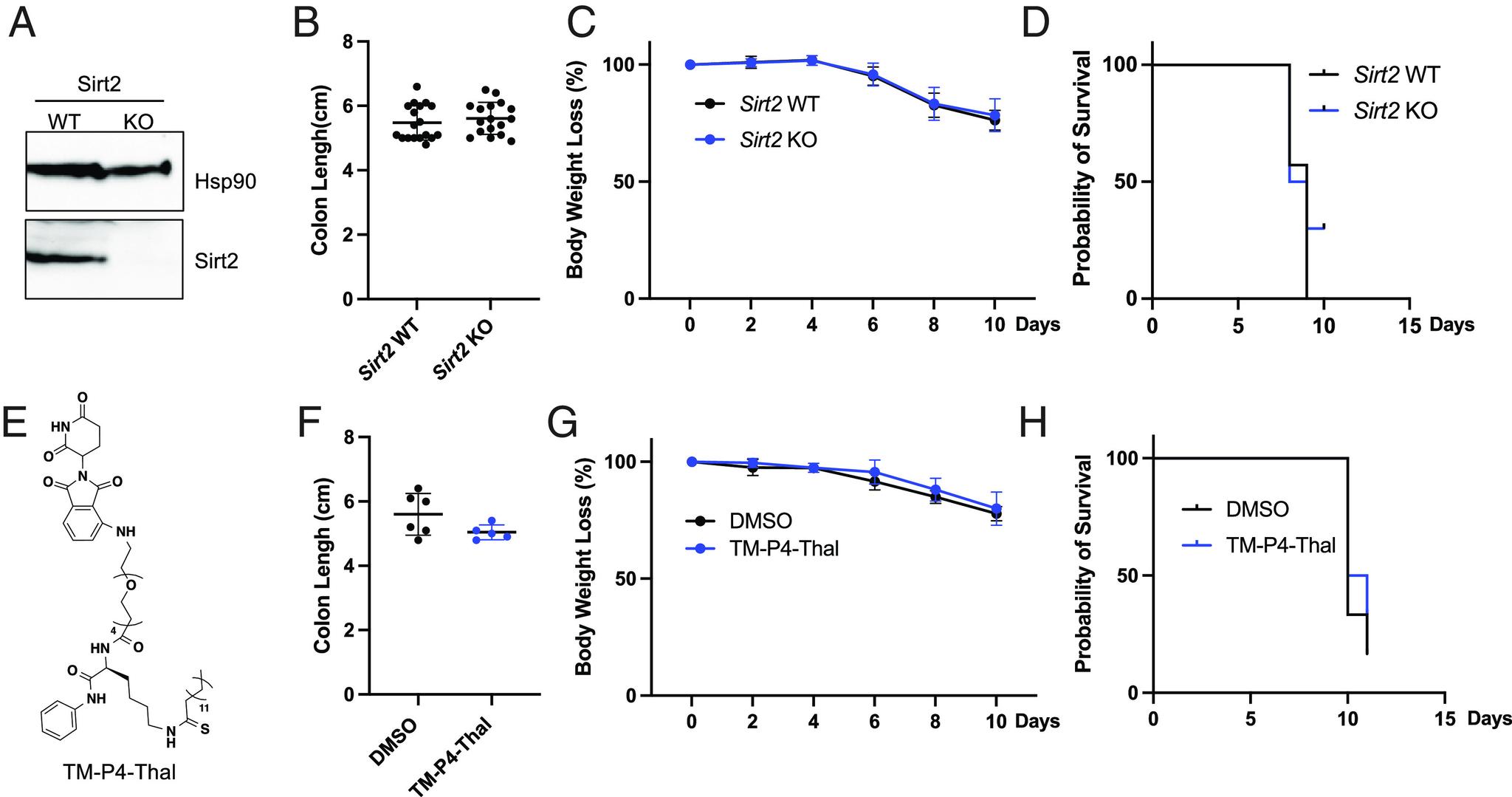 https://cdn.ncbi.nlm.nih.gov/pmc/blobs/7637/11066986/a4506d7a665c/pnas.2319833121fig02.jpg