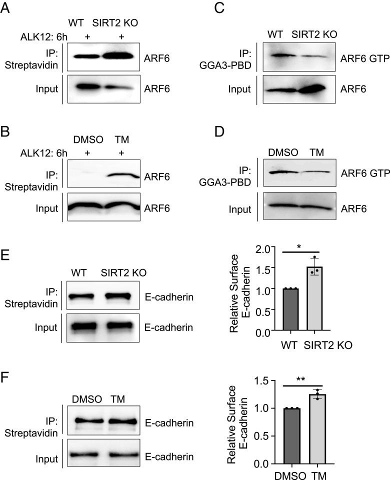 https://cdn.ncbi.nlm.nih.gov/pmc/blobs/7637/11066986/ed15606c4096/pnas.2319833121fig03.jpg