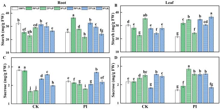 https://cdn.ncbi.nlm.nih.gov/pmc/blobs/7638/12196976/de30ea42ab6a/plants-14-01878-g003.jpg