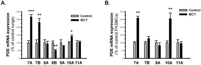 https://cdn.ncbi.nlm.nih.gov/pmc/blobs/7639/3073929/ec67bf9f0183/pone.0018136.g001.jpg