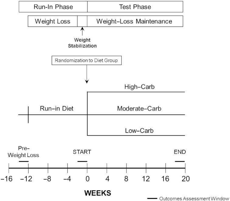 https://cdn.ncbi.nlm.nih.gov/pmc/blobs/7639/8755039/135b374e5d51/nqab287fig1.jpg