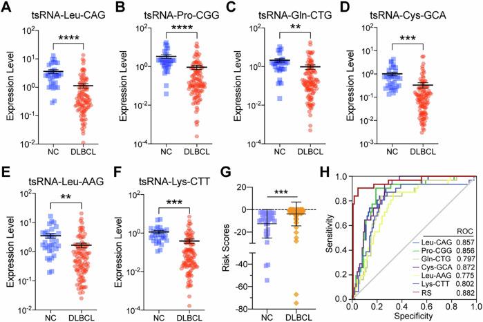 https://cdn.ncbi.nlm.nih.gov/pmc/blobs/763f/12037784/aeedf6b282c0/41408_2025_1267_Fig5_HTML.jpg