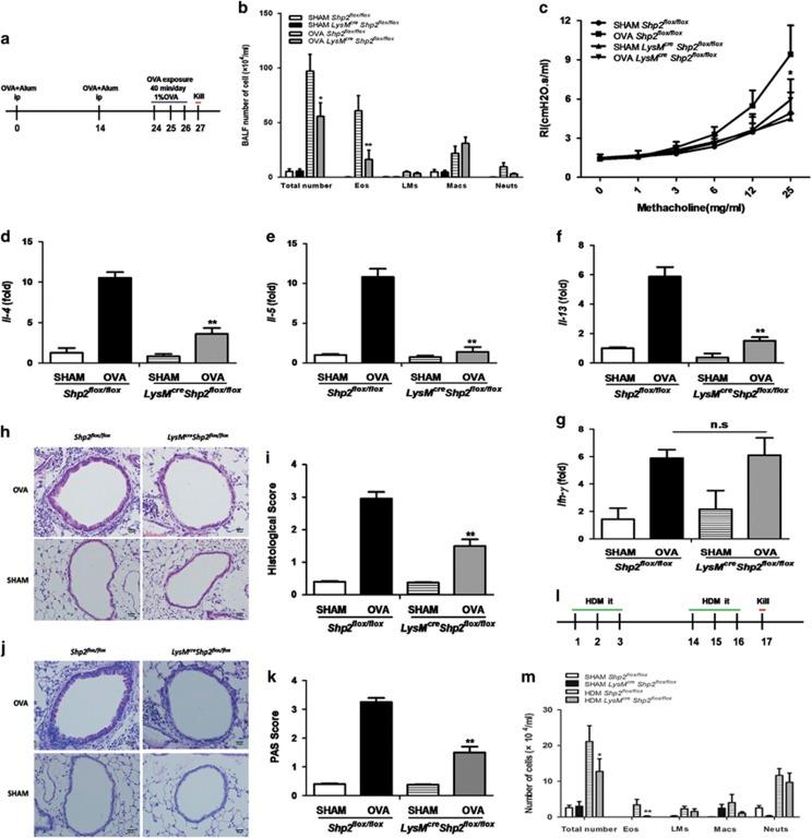 https://cdn.ncbi.nlm.nih.gov/pmc/blobs/763f/4855658/ab9377354cc9/cddis201674f5.jpg