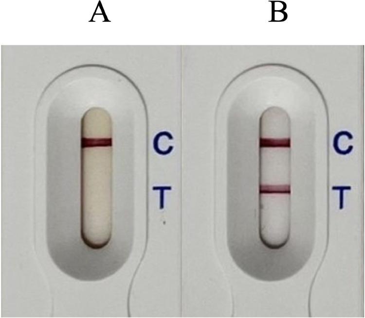 https://cdn.ncbi.nlm.nih.gov/pmc/blobs/7641/10827598/3cc74cf5ff33/gr8.jpg