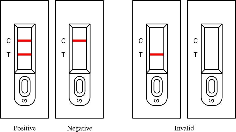 https://cdn.ncbi.nlm.nih.gov/pmc/blobs/7641/10827598/6ad429d808a9/gr2.jpg