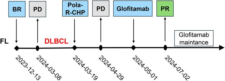 https://cdn.ncbi.nlm.nih.gov/pmc/blobs/7642/11994609/0f07fe3ee128/fimmu-16-1566035-g002.jpg