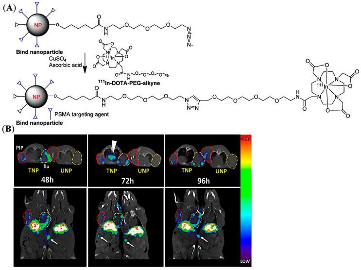 https://cdn.ncbi.nlm.nih.gov/pmc/blobs/7642/9964110/9590de9de131/pharmaceuticals-16-00315-g006.jpg