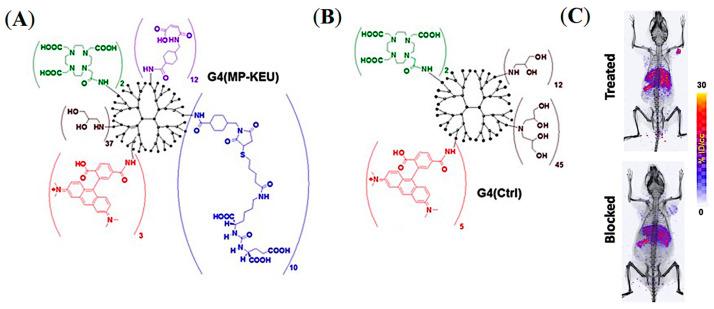 https://cdn.ncbi.nlm.nih.gov/pmc/blobs/7642/9964110/b9adf129574d/pharmaceuticals-16-00315-g012.jpg