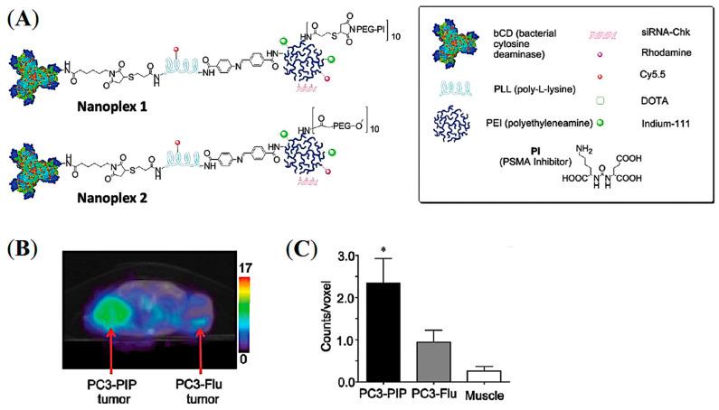 https://cdn.ncbi.nlm.nih.gov/pmc/blobs/7642/9964110/ef45b4156be8/pharmaceuticals-16-00315-g011.jpg