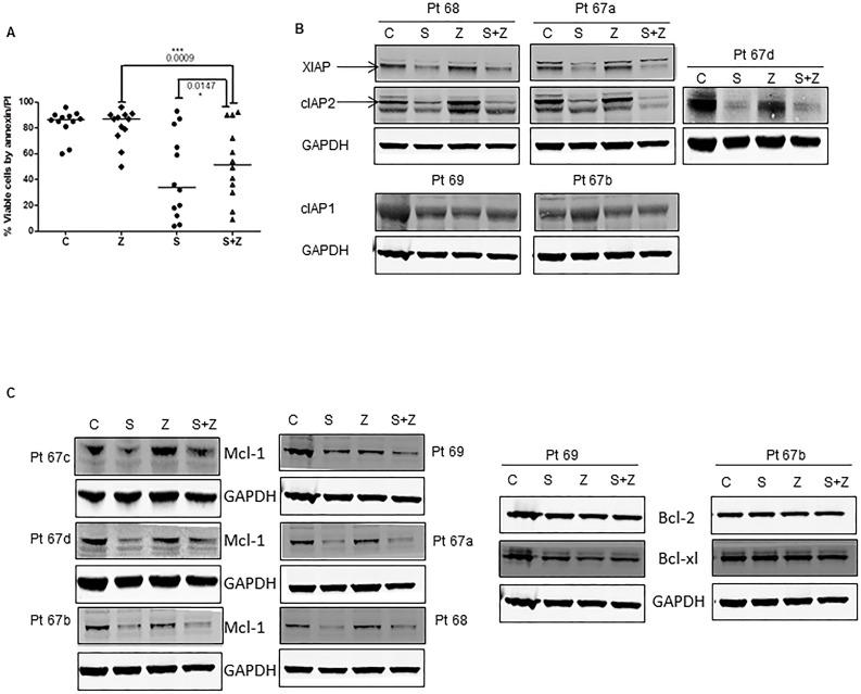https://cdn.ncbi.nlm.nih.gov/pmc/blobs/7643/5129945/2c29648a6721/oncotarget-07-39458-g004a.jpg
