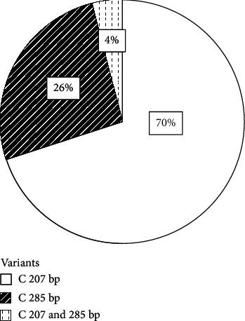 https://cdn.ncbi.nlm.nih.gov/pmc/blobs/7645/8026283/68325fc28b34/BMRI2021-6616059.003.jpg