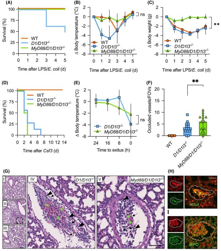 https://cdn.ncbi.nlm.nih.gov/pmc/blobs/7647/11707982/f97780f0952e/FSB2-39-e70301-g005.jpg