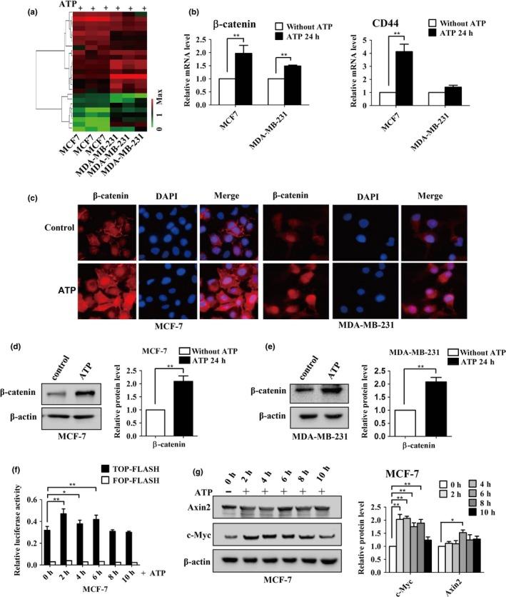 https://cdn.ncbi.nlm.nih.gov/pmc/blobs/7649/5497932/4378639a4375/CAS-108-1318-g004.jpg