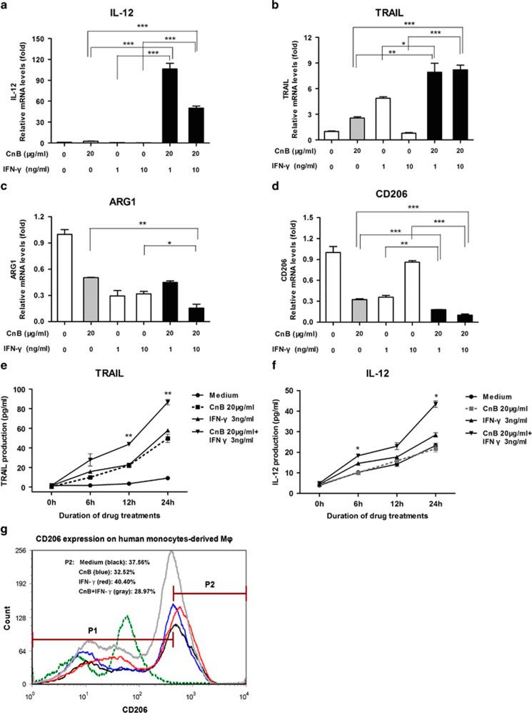 https://cdn.ncbi.nlm.nih.gov/pmc/blobs/764a/4669720/dc69699033ca/cddis201592f3.jpg