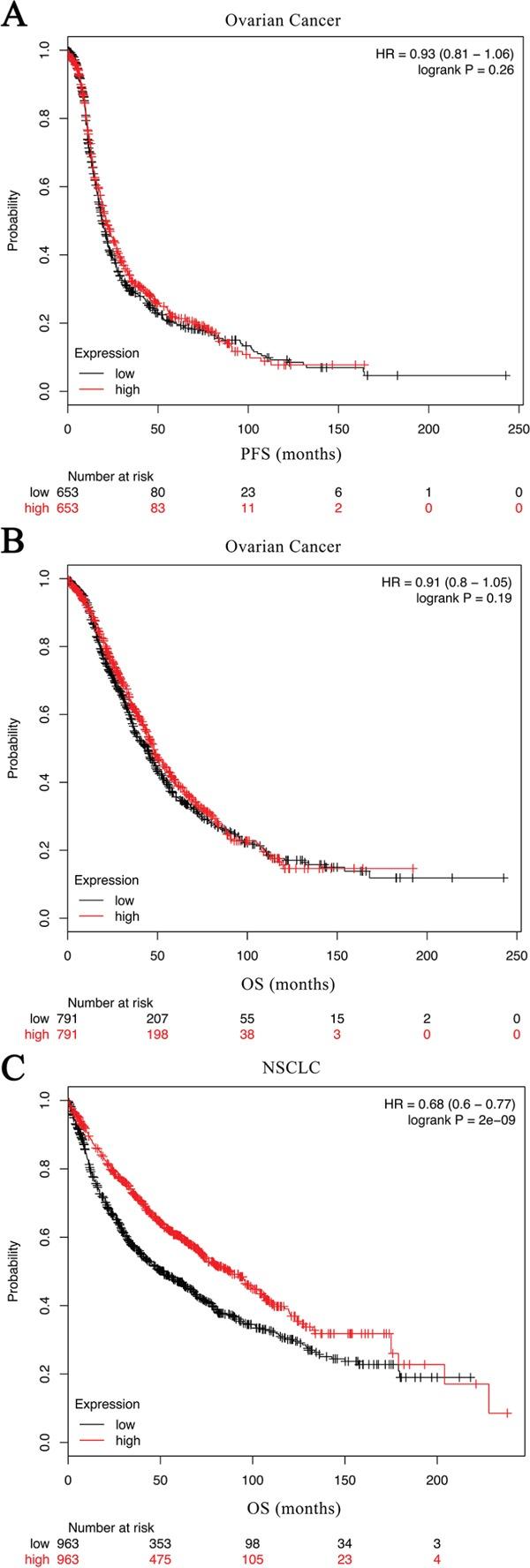 https://cdn.ncbi.nlm.nih.gov/pmc/blobs/764c/5349933/c9ce8f5f1385/oncotarget-07-86536-g003.jpg