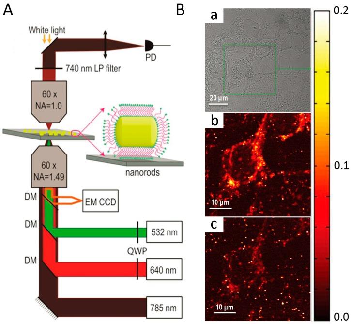 https://cdn.ncbi.nlm.nih.gov/pmc/blobs/764e/5744307/7fe432638afe/materials-10-01372-g006.jpg