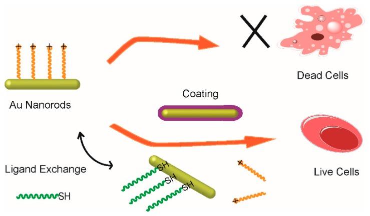 https://cdn.ncbi.nlm.nih.gov/pmc/blobs/764e/5744307/f7922b32afe2/materials-10-01372-g004.jpg
