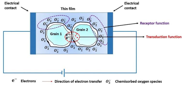 https://cdn.ncbi.nlm.nih.gov/pmc/blobs/7651/10891883/b688d46f694e/nanomaterials-14-00359-g014.jpg