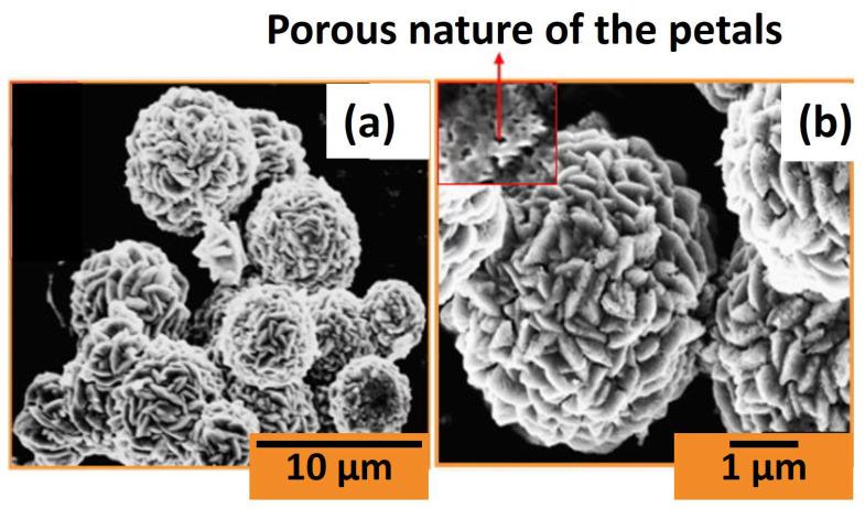 https://cdn.ncbi.nlm.nih.gov/pmc/blobs/7651/10891883/fc731db79560/nanomaterials-14-00359-g007.jpg