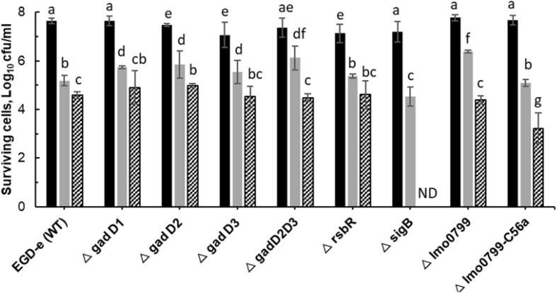 https://cdn.ncbi.nlm.nih.gov/pmc/blobs/7655/6918802/6da7c0ea8f9a/fmicb-10-02841-g003.jpg