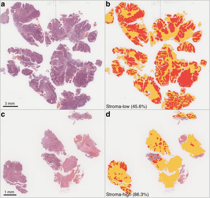 https://cdn.ncbi.nlm.nih.gov/pmc/blobs/7656/8235870/c1d74c0be7db/12885_2021_8516_Fig3_HTML.jpg