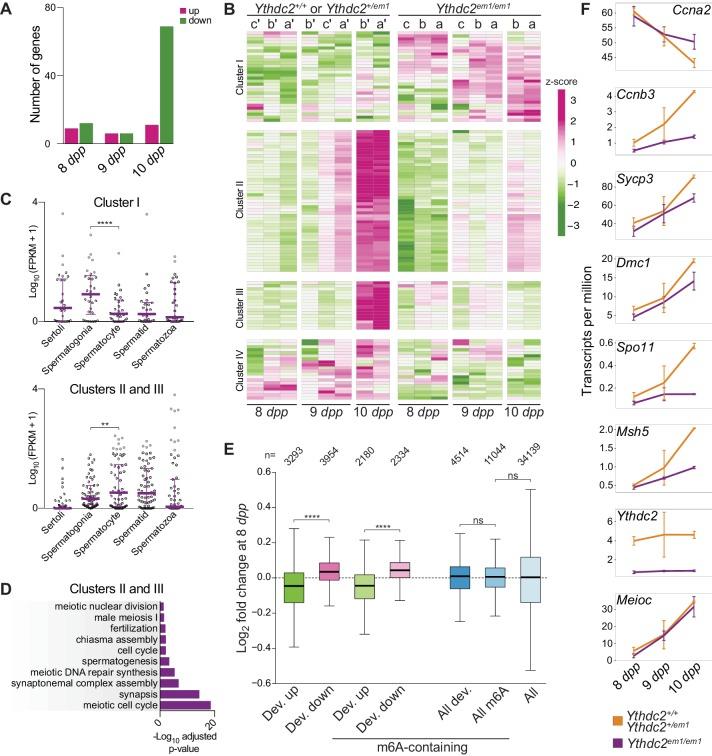 https://cdn.ncbi.nlm.nih.gov/pmc/blobs/7658/5832417/2b0ddda80965/elife-30919-fig6.jpg