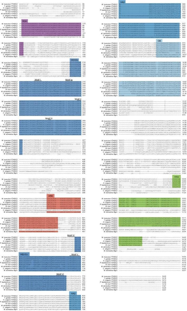 https://cdn.ncbi.nlm.nih.gov/pmc/blobs/7658/5832417/542b2b24b524/elife-30919-fig10-figsupp2.jpg