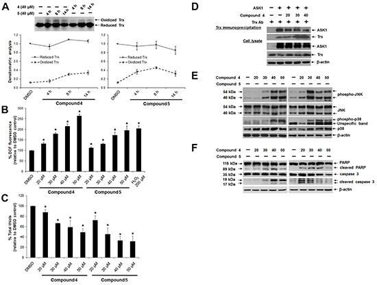 https://cdn.ncbi.nlm.nih.gov/pmc/blobs/765a/5130005/3b51273a100a/oncotarget-07-40233-g005.jpg