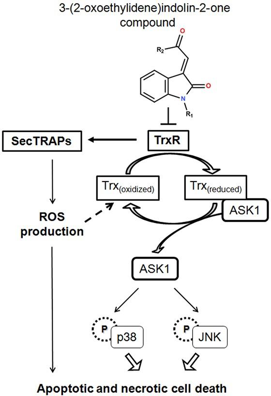 https://cdn.ncbi.nlm.nih.gov/pmc/blobs/765a/5130005/41b4d4ede06f/oncotarget-07-40233-g009.jpg