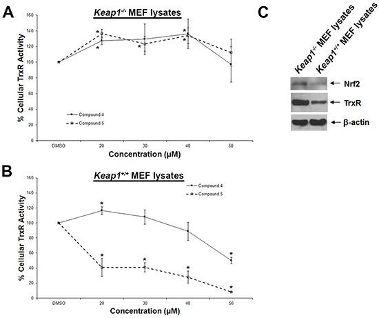 https://cdn.ncbi.nlm.nih.gov/pmc/blobs/765a/5130005/c7b9deebfbdc/oncotarget-07-40233-g004.jpg