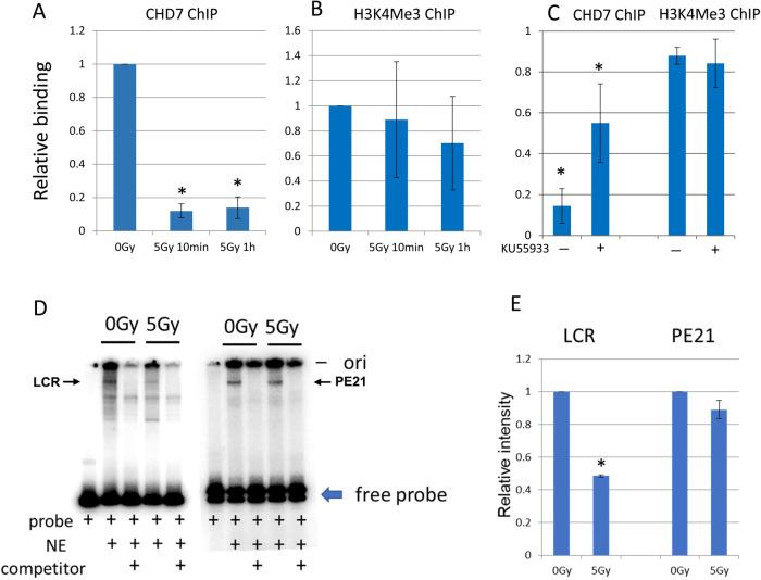 https://cdn.ncbi.nlm.nih.gov/pmc/blobs/765b/10162424/9bf79da425ca/mbc-34-ar39-g005.jpg