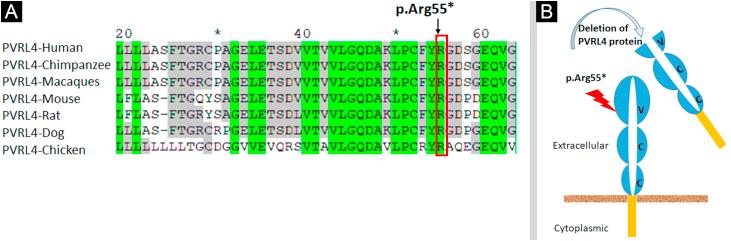 https://cdn.ncbi.nlm.nih.gov/pmc/blobs/765b/10404504/4cbc2b6db298/gr8.jpg