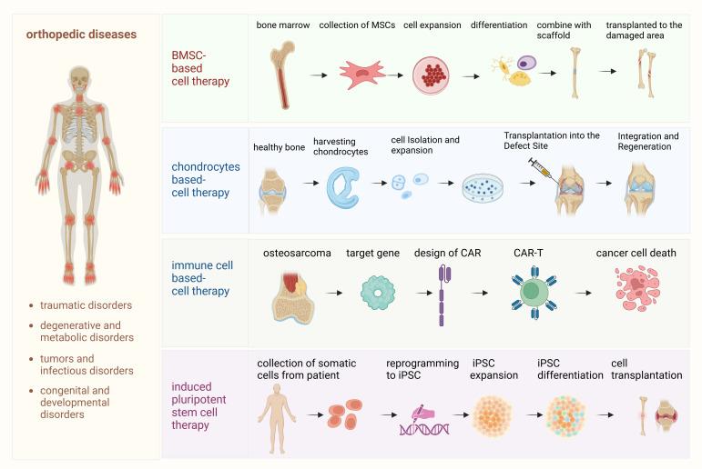 https://cdn.ncbi.nlm.nih.gov/pmc/blobs/765d/12018241/46e54f9dfeab/fimmu-16-1567640-g001.jpg