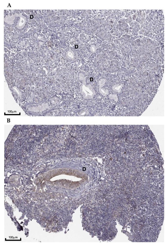 https://cdn.ncbi.nlm.nih.gov/pmc/blobs/765d/8620733/4e78669c14b3/healthcare-09-01478-g007.jpg