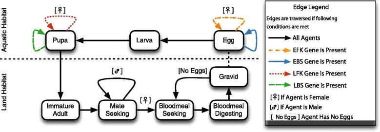 https://cdn.ncbi.nlm.nih.gov/pmc/blobs/765e/4351850/1e23a555d7ab/12936_2015_587_Fig1_HTML.jpg