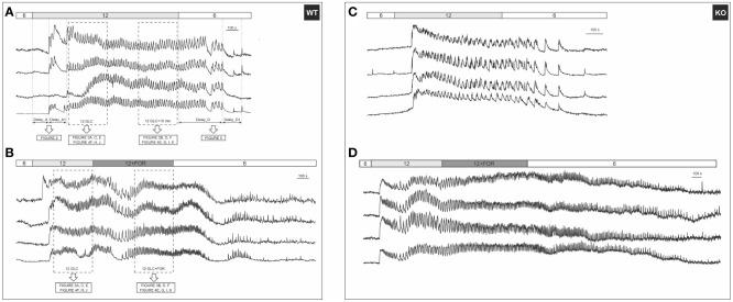https://cdn.ncbi.nlm.nih.gov/pmc/blobs/7661/10494243/d608c0a62416/fendo-14-1225486-g001.jpg