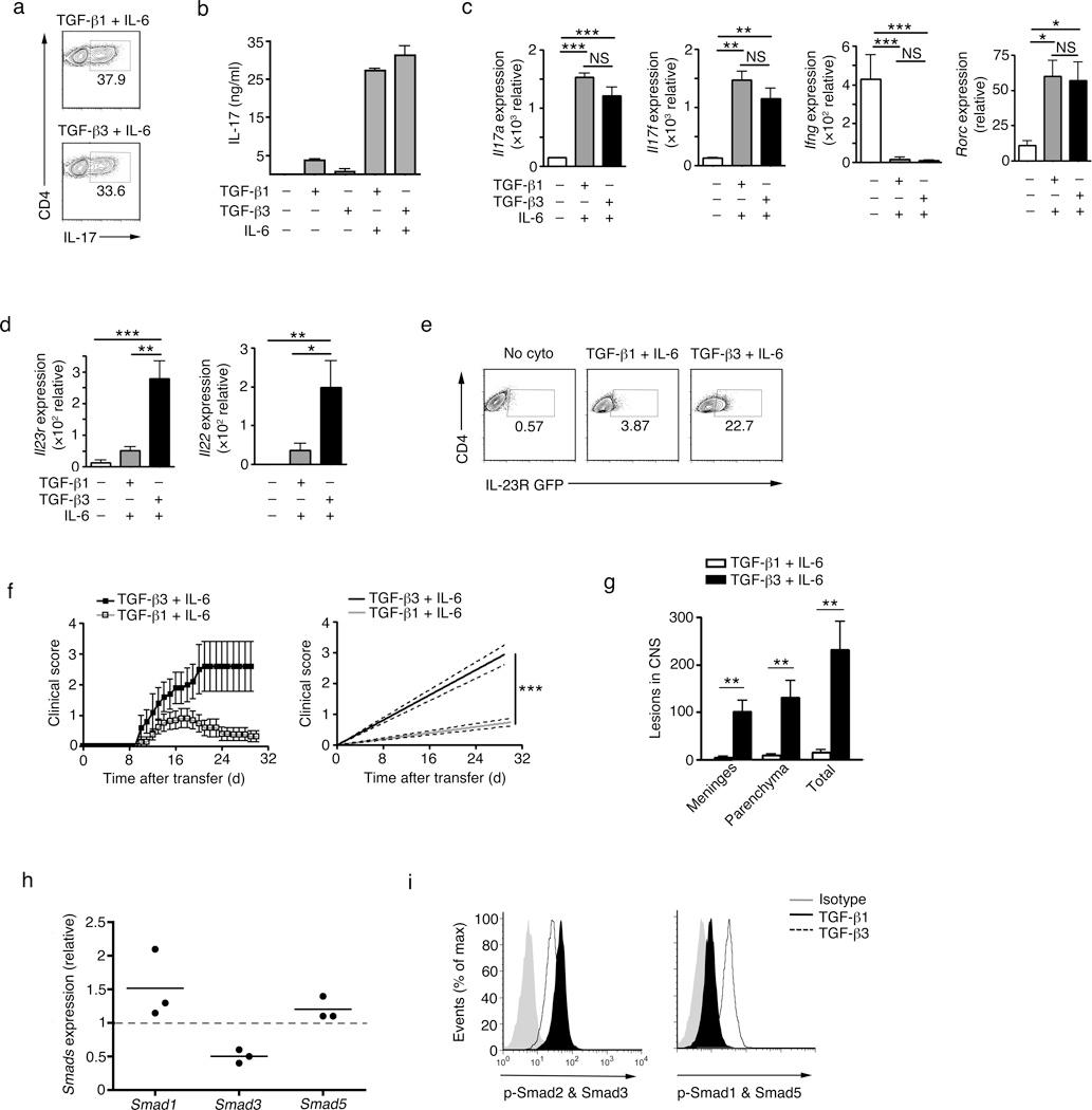 https://cdn.ncbi.nlm.nih.gov/pmc/blobs/7661/3459594/370a22301ed2/nihms398264f2.jpg