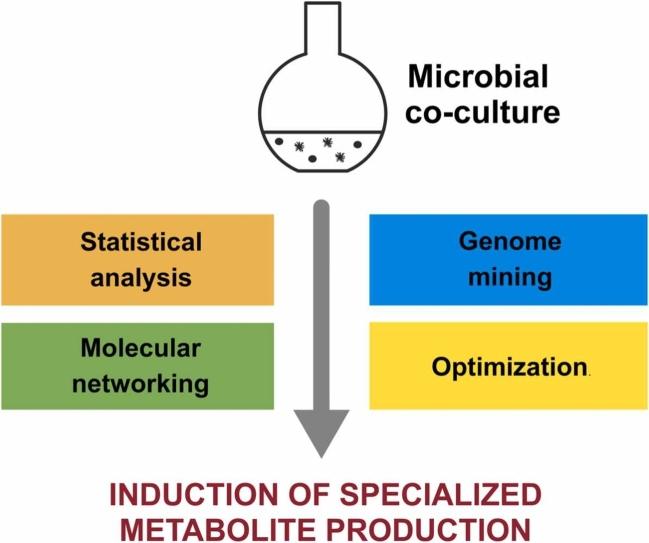 https://cdn.ncbi.nlm.nih.gov/pmc/blobs/7662/10462793/c33b460699bb/ga1.jpg