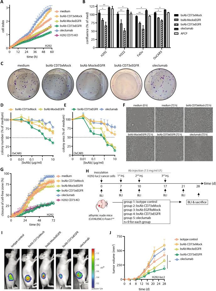 https://cdn.ncbi.nlm.nih.gov/pmc/blobs/7662/10514638/687c23825c25/jitc-2023-006837f06.jpg