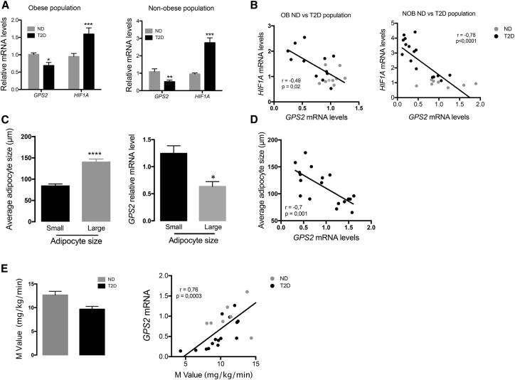 https://cdn.ncbi.nlm.nih.gov/pmc/blobs/7662/6153369/67d086f60815/gr7.jpg