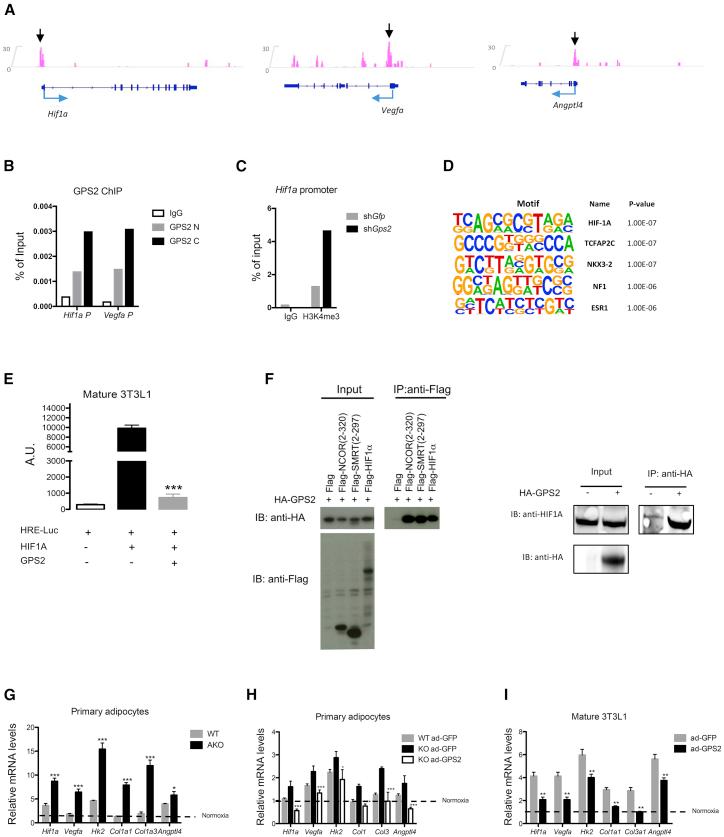 https://cdn.ncbi.nlm.nih.gov/pmc/blobs/7662/6153369/bcaff40099e7/gr3.jpg