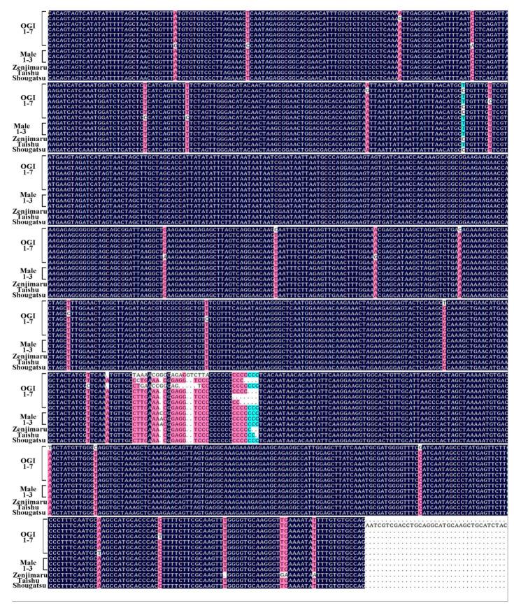 https://cdn.ncbi.nlm.nih.gov/pmc/blobs/7662/7922513/22168149b7c6/plants-10-00390-g005.jpg