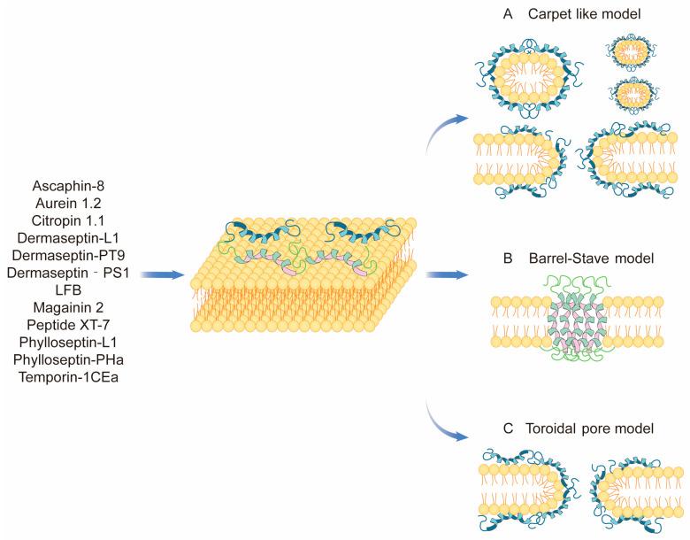 https://cdn.ncbi.nlm.nih.gov/pmc/blobs/7663/10530844/8aee720aee65/ijms-24-13985-g002.jpg