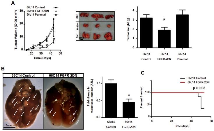 https://cdn.ncbi.nlm.nih.gov/pmc/blobs/7663/3382584/25ff7837a2cd/pone.0039540.g002.jpg