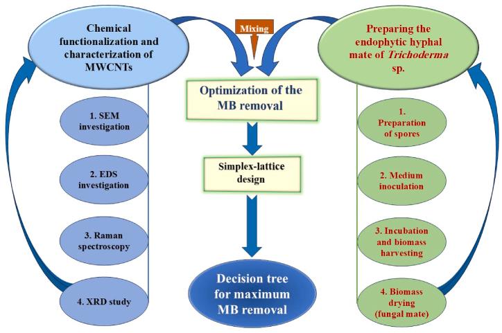 https://cdn.ncbi.nlm.nih.gov/pmc/blobs/7664/11566670/ec46188a6f8e/gr1.jpg
