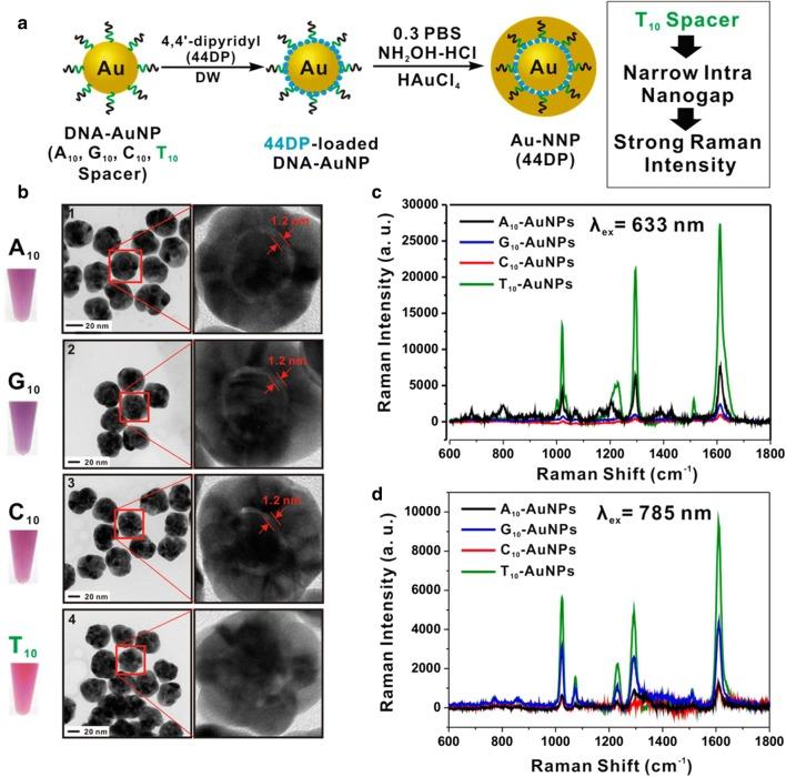 https://cdn.ncbi.nlm.nih.gov/pmc/blobs/7665/5994839/44a5142cec5f/12951_2018_378_Fig4_HTML.jpg
