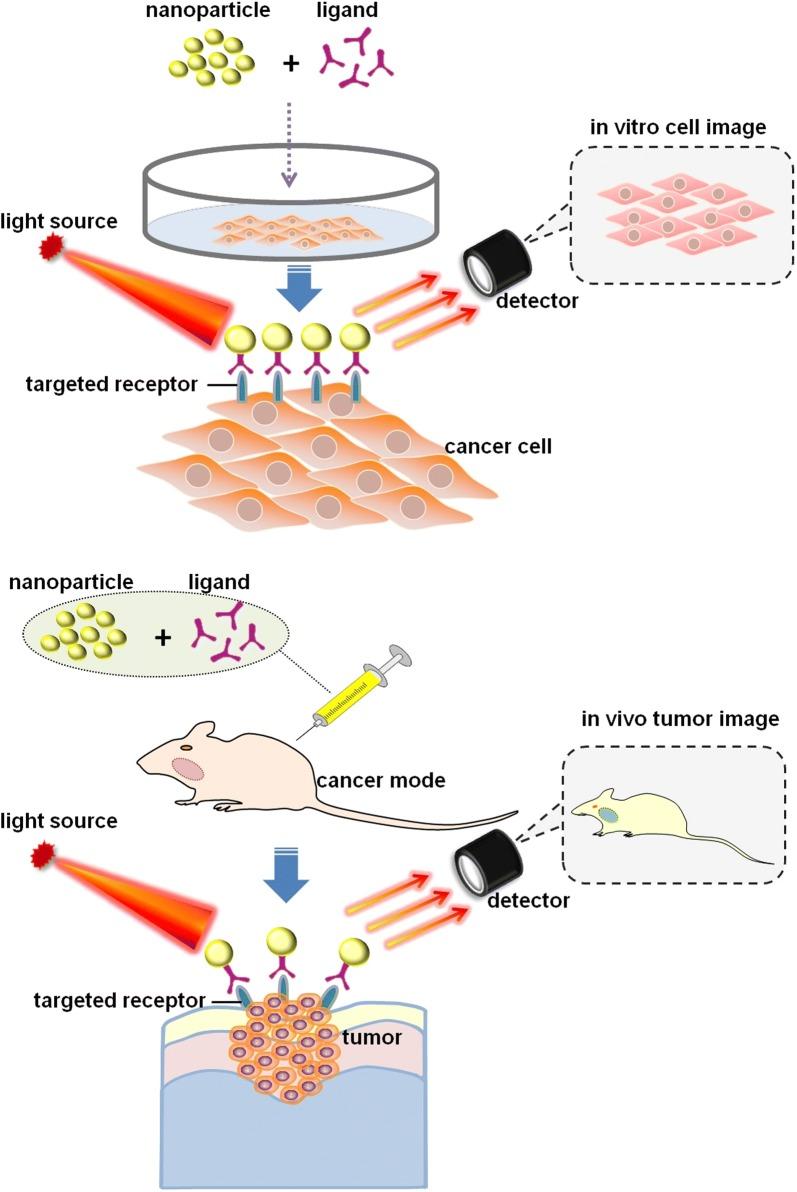 https://cdn.ncbi.nlm.nih.gov/pmc/blobs/7665/5994839/f07a20ec8f23/12951_2018_378_Fig1_HTML.jpg