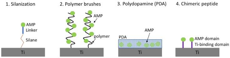 https://cdn.ncbi.nlm.nih.gov/pmc/blobs/7666/6022873/80062a52bcc5/biomolecules-08-00027-g003.jpg