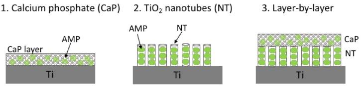 https://cdn.ncbi.nlm.nih.gov/pmc/blobs/7666/6022873/d08997075805/biomolecules-08-00027-g004.jpg