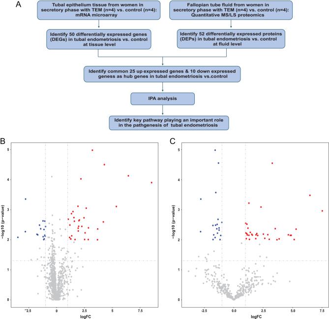 https://cdn.ncbi.nlm.nih.gov/pmc/blobs/7666/7159149/2475f2c4c361/REP-19-0587fig1.jpg